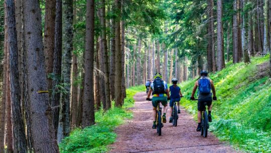 Een elektrische fiets onderhouden 